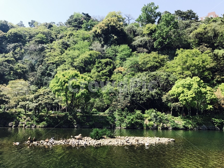 자연,땅,물,식물,초목,자연,풍경,nature,landscape,outdoors,옥외,water,land,plant,vegetation