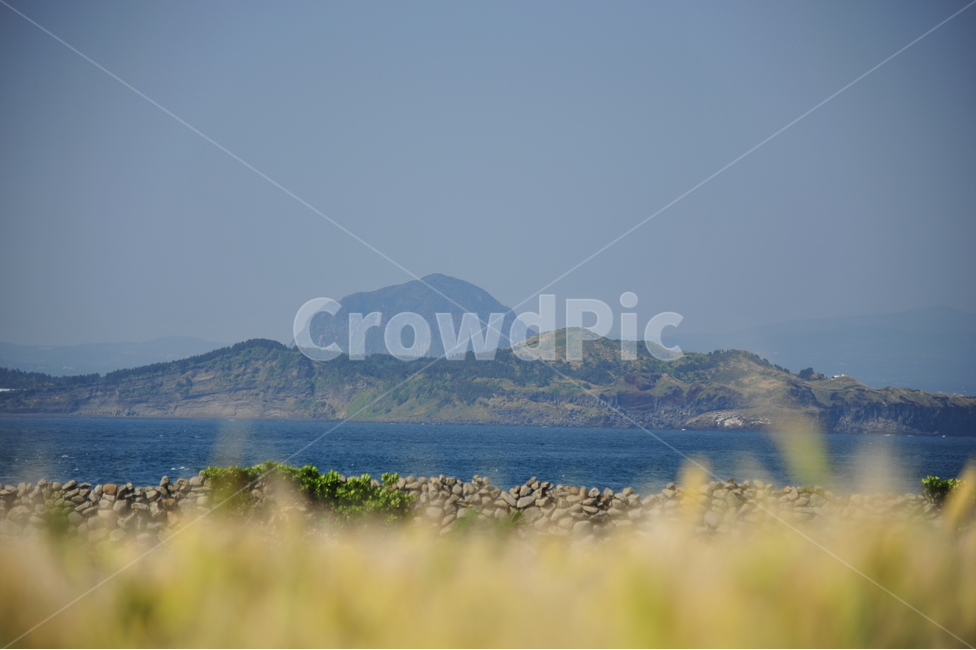 바다,하늘,제주도,청보리밭,가파도,자연,풍경,nature,landscape,한국자연풍경,한국자연경관,korea nature landscape,제주도,jeju,jeju island,outdoors,옥외,grassland,목초지,field,들