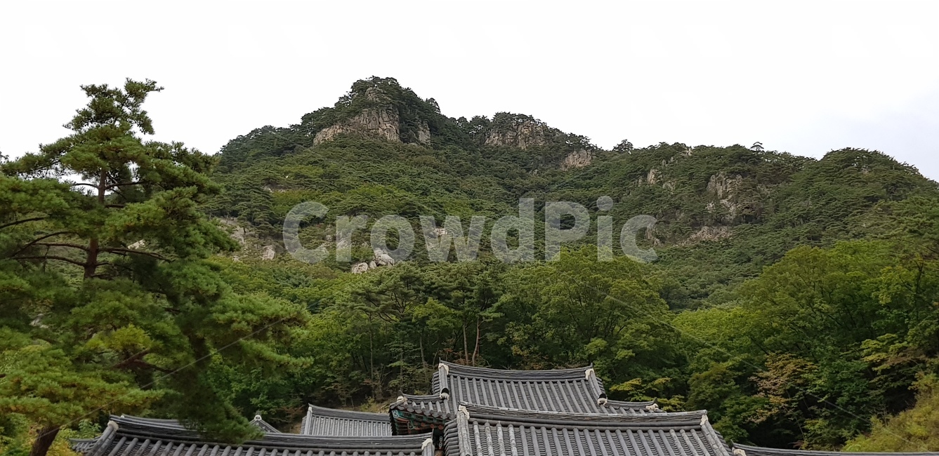 산,절,나무,지붕,사찰,청평사