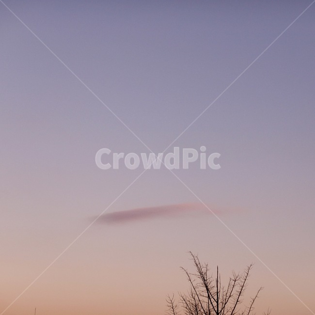 하늘,구름,나무,감성필터,cloud,sky,겨울,겨울하늘,자연,풍경,nature,landscape,색깔,색상,색채,색감,color sense,color sensitivity,feeling of color,outdoors,옥외