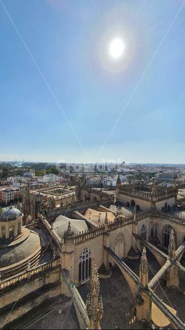 스페인,세비야,세빌리야,spain,sevilla,세비야대성당,성당,대성당,catholic,church,건축물,nature,자연,landscape,경치,풍경,scenery,옥외,outdoors
