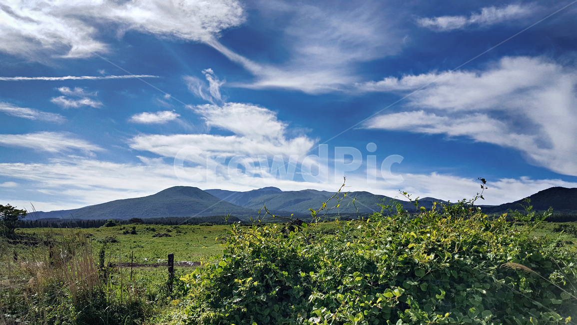 outdoors,옥외,nature,자연,나무,구름,파란하늘,자연,풍경,nature,landscape