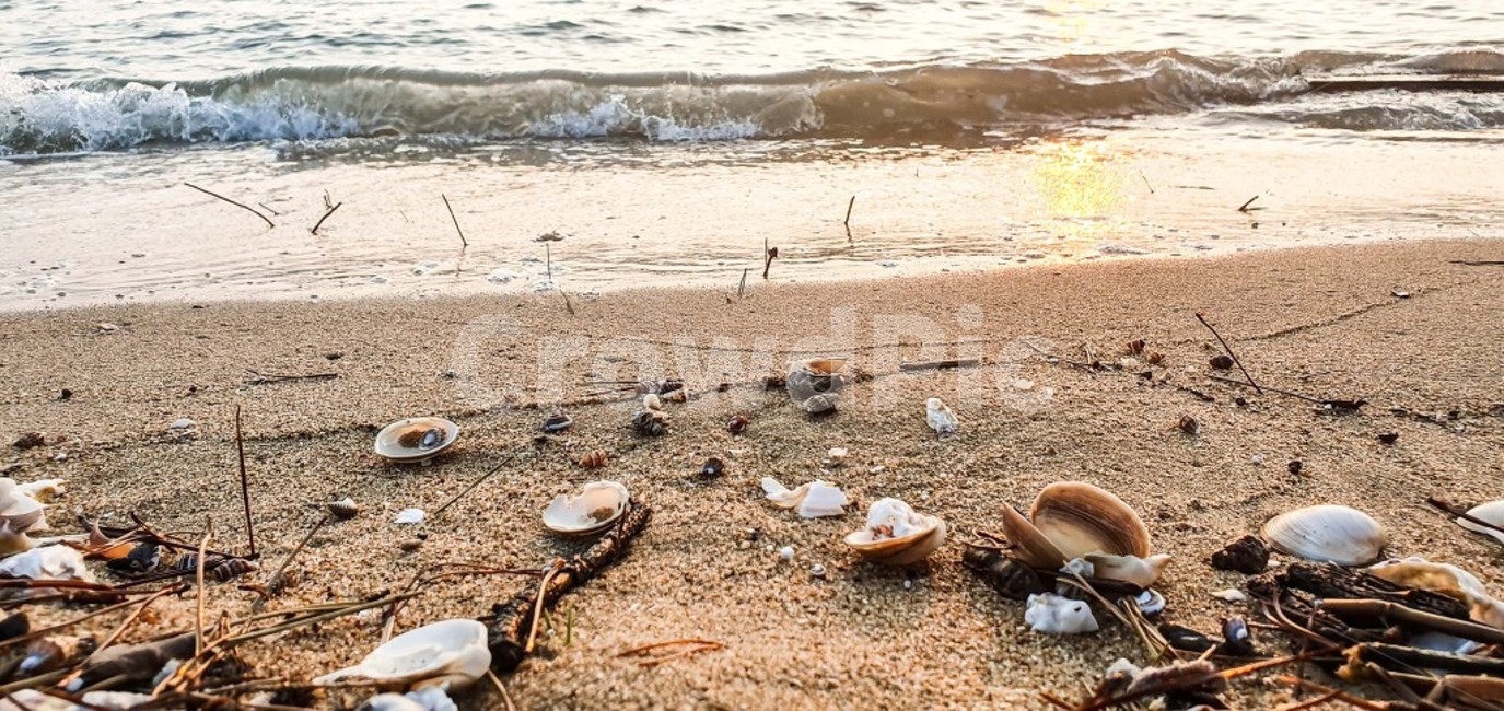 석양,파도,해변,노을,바다