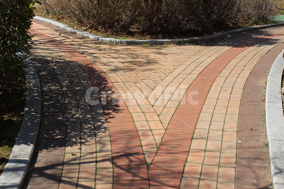 공원,갈림길,나뉘는길,운동,생각,자연,풍경,nature,landscape,path,통로,walkway,보도