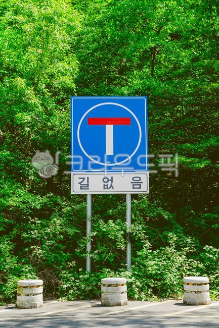 표지만,숲,길,길없음,안내판
