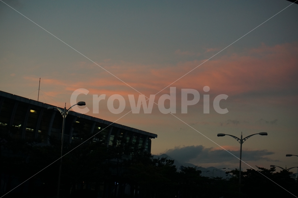 하늘,핑크,노을,가로등,감성,감성사진,도시,풍경,city,landscape,nature,자연,outdoors,옥외