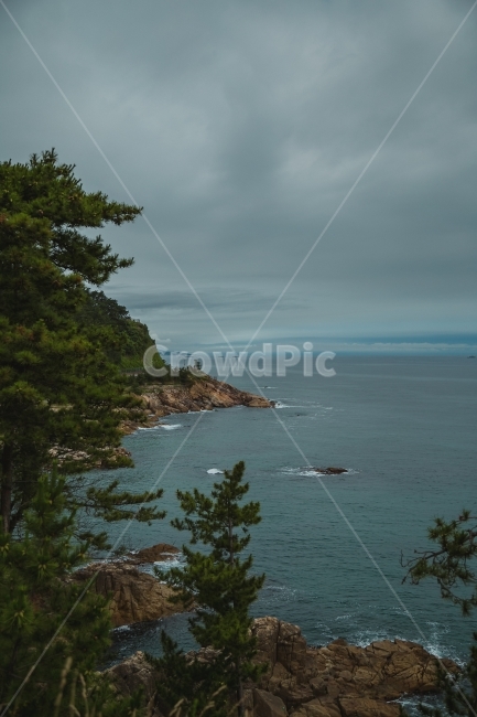 여행사진,바다사진,동해바다,감성사진,색감,풍경사진,풍경,자연,풍경,nature,landscape,한국자연풍경,한국자연경관,korea nature landscape,promontory,곶,land,땅,outdoors,옥외,tree,나무,plant,식물,shoreline,해안선,water,물