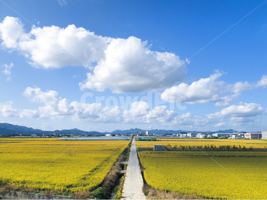 nature,자연,outdoors,옥외,농촌,시골,맑은하늘