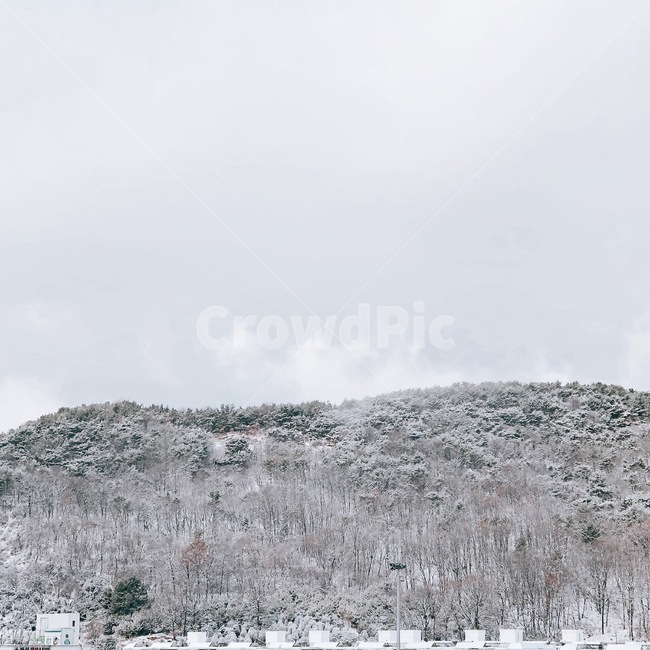 눈,겨울,산,하늘,감성사진,겨울,계절,winter,season,자연,풍경,nature,landscape,tree,나무,plant,식물,outdoors,옥외,fir,전나무