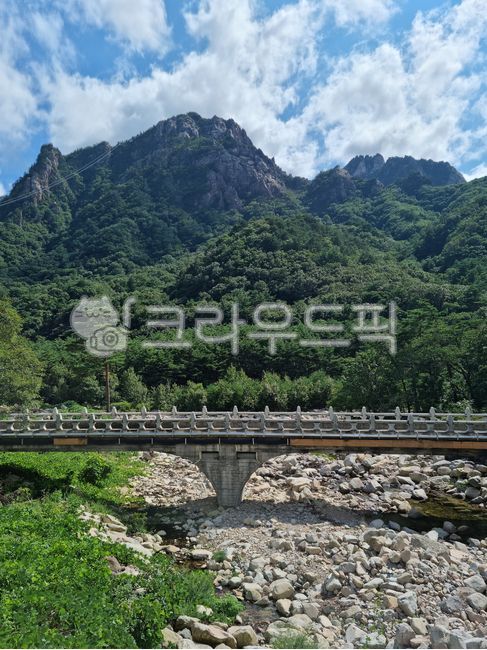 설악산,산,강원도,한국,바위산,하늘,낮,구름,나무,숲,자연,다리,돌다리,대교,대리석,자갈,돌,바위,계곡,강가,개울가,개울,여름,녹색