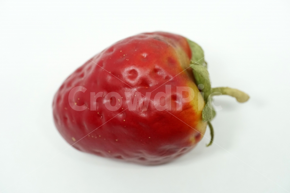 누끼,사물,물건,소품,장식품,딸기,과일,열매,fruit,strawberry,누끼사진,오브젝트,object,컨셉,콘셉,concept,과실,모형,사물,물건,오브젝트,thing,object,matter,누끼,remove background