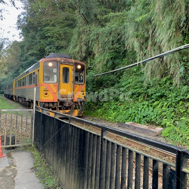 레일,철도,기차,train,기찻길,railway,rail