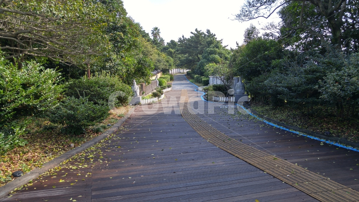 제주도,풍경,배경,자연,보도,통로,path,walkway,sidewalk,pavement