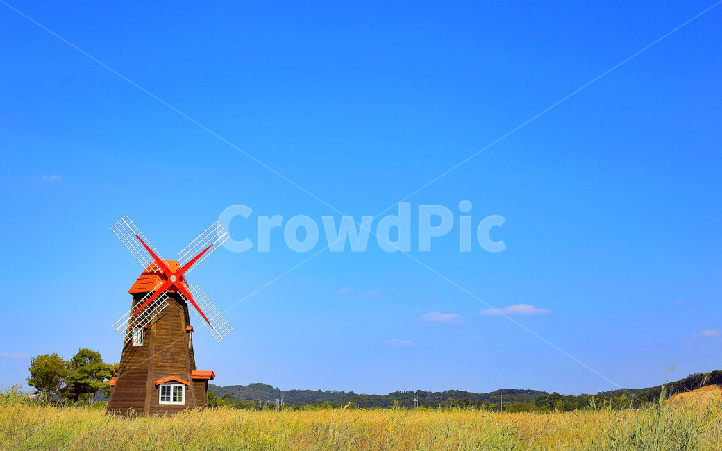 풍차,갈대밭,가을,하늘,들판,건축물,건물외관,exterior,building,structure,architecture,construction