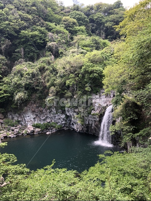 nature,자연,outdoors,제주도,제주,천지연폭포,폭포,천지연,녹색,자연,풍경,nature,landscape
