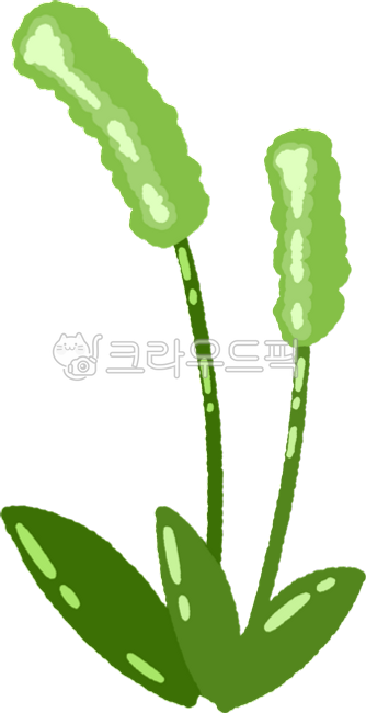 강아지풀,강아지풀일러스트,강아지풀그림,가을,가을식물,귀여운풀,풀,풀그림,풀일러스트,잔디밭,가을배경,갈대,갈대일러스트,추수감사절,논밭,논,시골,식물,식물일러스트,농부,귀농,가을논밭,갈대밭,갈대그림,추석,추석배경,시골그림,손그림,귀여운손그림,귀여운,다꾸,다꾸스티커,가을요소,가을배경요소