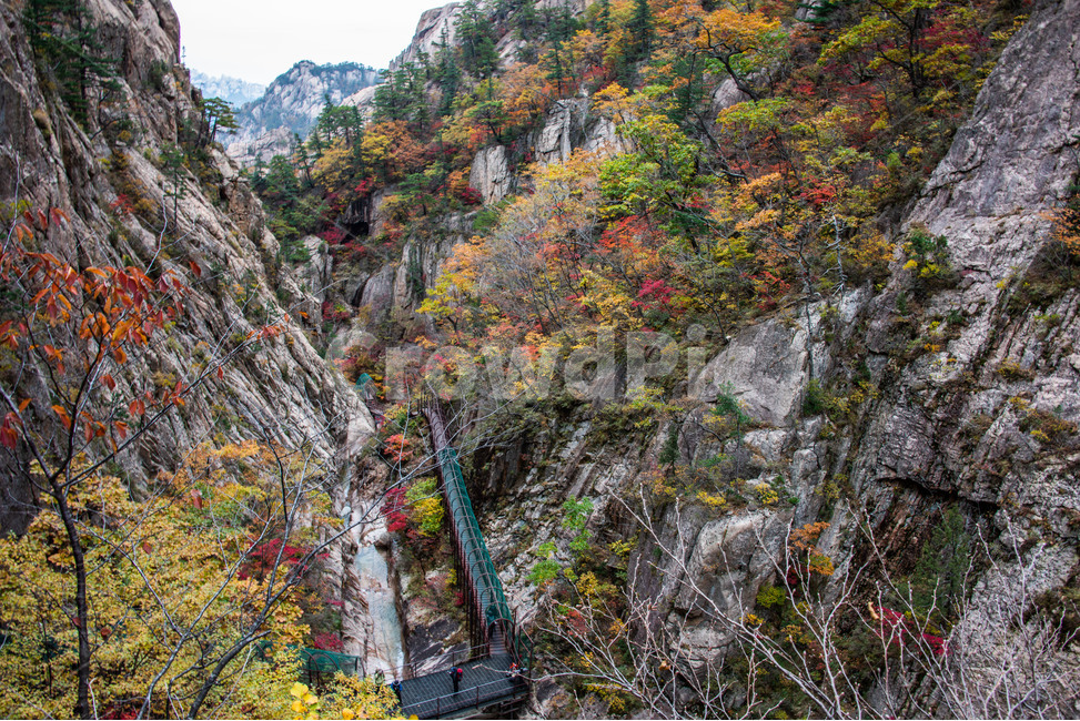 설악산,가을,단풍,폭포,천불동계곡,국립공원,가을,계절,fall,autumn,season,자연,풍경,nature,landscape,한국자연풍경,한국자연경관,korea nature landscape,outdoors,옥외,mountain,산