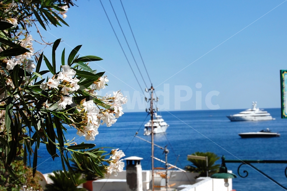 꽃,바다,배,크루즈,풍경,감성사진,분위기,파노라마,panorama,scene,cruise,flower,ocean,sea,ship,tranquil,quiet,peaceful,평화로운,고요한,조용한,차분한,여행,외국,해외,이탈리아,italy,trip,travel,지중해,Mediterranean,travelling,배경,배경사진,차분함,평화로움,풍경사진,ambience,atmosphere,calm,still,background,view,landscape,scenery,해외,외국,세계,foreign,oversea,world,식물,자연,plants,nature,꽃,flower,교통,교통수단,traffic,transportation,plant,boat,보트,vehicle,차량,blossom