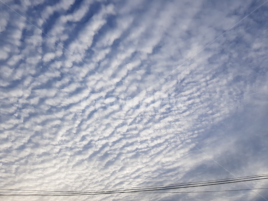 구름,파란하늘,하얀구름,뭉게구름,특이한구름,파란,하얀,special,cloud,sky,bluesky