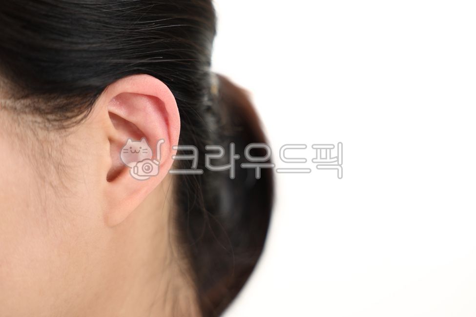 귀,부분,귓구멍,옆면,측면,확대,클로즈업,집중,주의,매크로,청력,지각,청력상실,케어,관리,얼굴,나선,여자,여성,신체,의료,뷰티,동양인,사람,부드러운,피부,이명,난청,귓볼,귓바퀴,청각,듣는,듣다,감각,감각기관,신체부위,옆모습,연골,미용,이목구비,소프트,인물