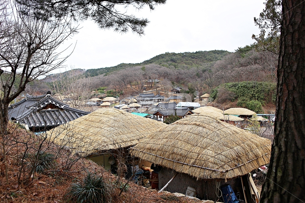 양동마을,초가집,초가,전통집,집,엣날집,자연,풍경,겨울,건물,민속집,한국전통,한국문화,korean traditional,korean culture
