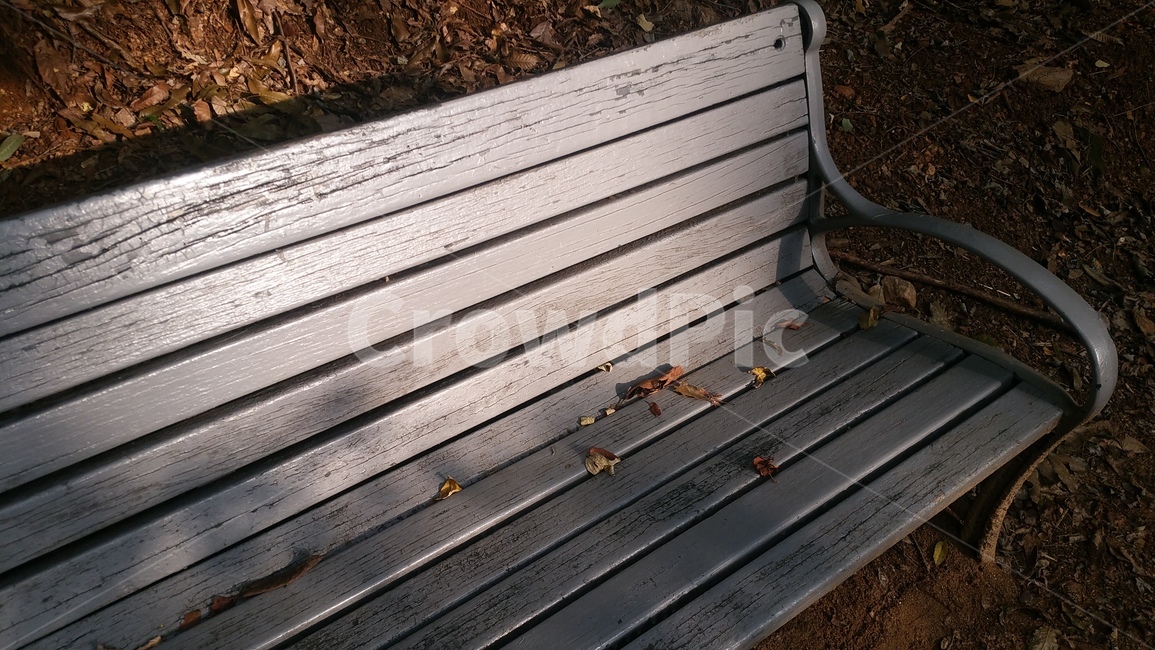 furniture,가구,자연,낙엽,가을