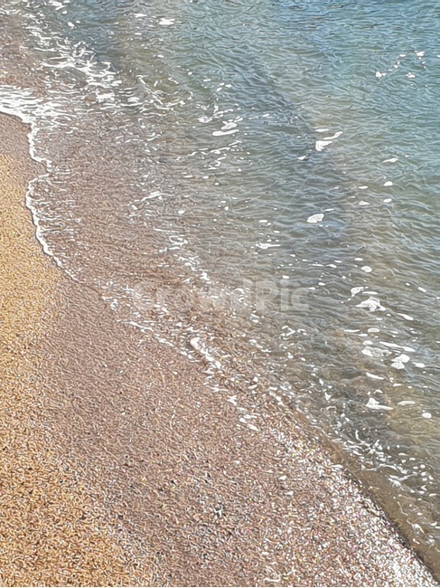 물결,해변,바다,물,여름