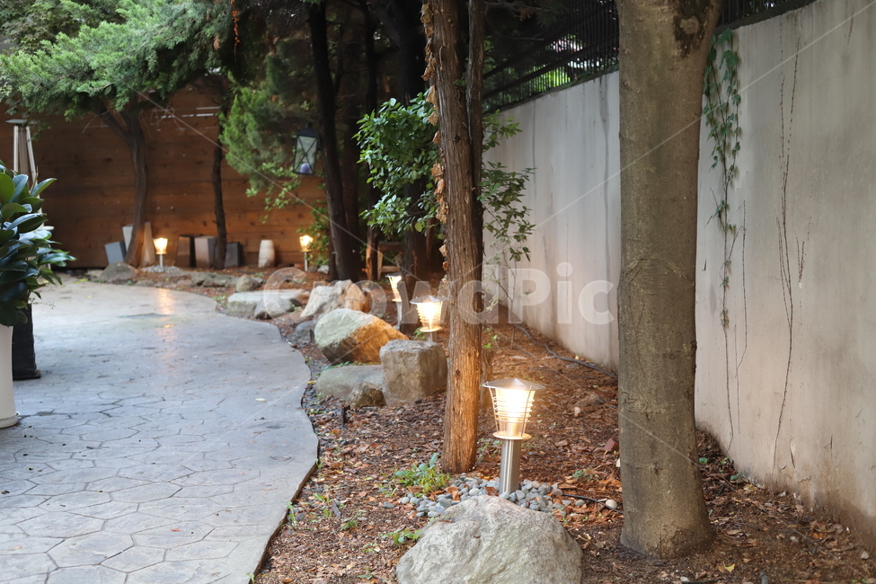 flagstone,판석,인테리어,나무,식물,빛,led,전구,불