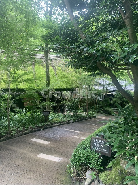 garden,정원,일본,정자,휴양지,휴가,자연,풍경,nature,landscape
