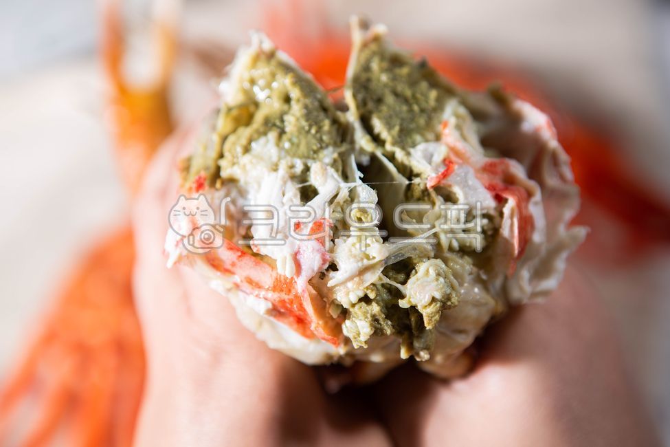 seafood,Snow crab dish,Steamed snow crab,snow crab,Snow crab sauce,Russian snow crab,Snow crab meat,red crab