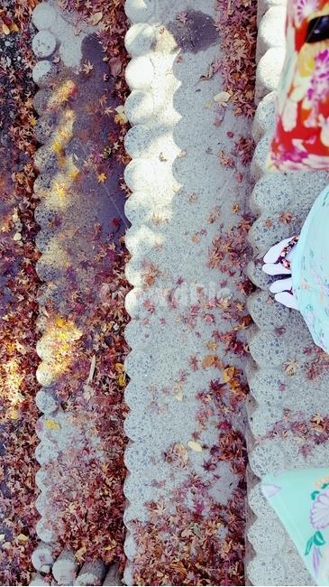 계단,기모노,가을,낙엽,감성,기다림,빛,가을,계절,fall,autumn,season