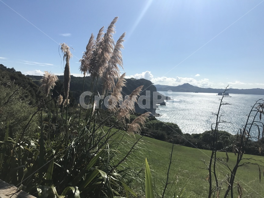 자연,경치,풍경,뷰,바다,자연,풍경,nature,landscape,grass,잔디,plant,식물,lawn