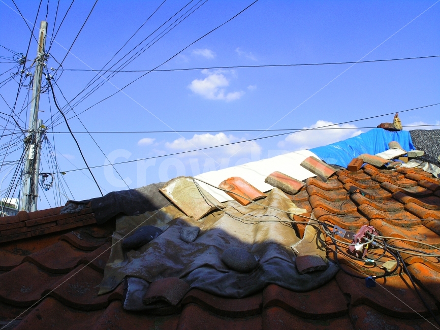 달동네,판자촌,골목길,옛모습,아날로그,추억,회상,기억,메모리,memory,remember,정겨운,마을,촌락,서민,가난,빈곤,소외,재개발,시안,디자인,디자이너,출판,편집,책자,서적,사보,카다로그,콘텐츠,리플렛,브로셔,컨셉,콘셉,컨셉트,모바일,전단,광고,sns,ebook,웹,마케팅,마켓팅,필,느낌,서정,emotion,feeling,옛날,삶,생활,거주,주택,집,하우스,계단,지붕,이웃,잊혀진,감성,concept,old,빈티지,변두리,과거,yesterday,외곽,풍경,건물,기와집,전봇대,전선,도시,풍경,city,landscape