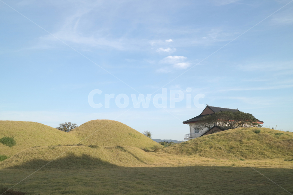 grassland,field,들,경주,자연,하늘,green,가을