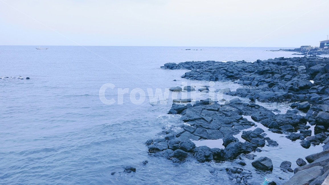 자연,바다,물,현무암,제주도,바닷가,파도,sea