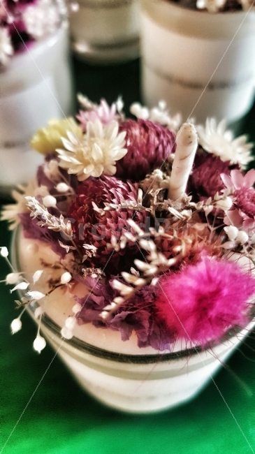 꽃,보라,초,컵,인테리어,식물,자연,plants,nature,꽃,flower