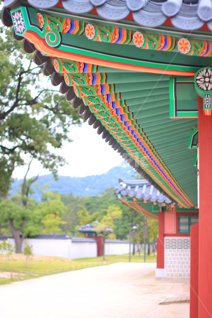 경복궁,궁궐,지붕,패턴,나무,한국문화,건축물,고궁,단청,처마,한국,민속,무늬,문양,서울,배경,궁