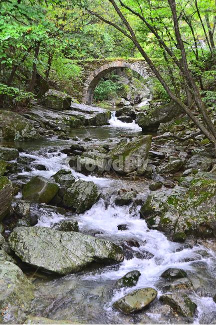 선암사,승선교,계곡,계류,그린,초록색,녹지,자연,환경,natural,water,물,nature,outdoors,옥외,나무,숲,배경,백그라운드,힐링,흙길,땅,돌다리,stream,흐름,보물제400호,홍교,석교,무지개모양,아치,반원형,역사유물,계절,시즌,바탕,season,건축물,자연,풍경,nature,landscape,creek,작은 만