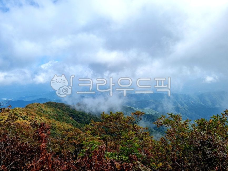 가을, 가을산, 숲, 등산, 풍경, 사진,이미지,일러스트,캘리그라피 - Ncc118104작가