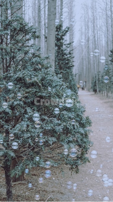 비눗방울,자연,풍경,나무,감성,자연,풍경,nature,landscape