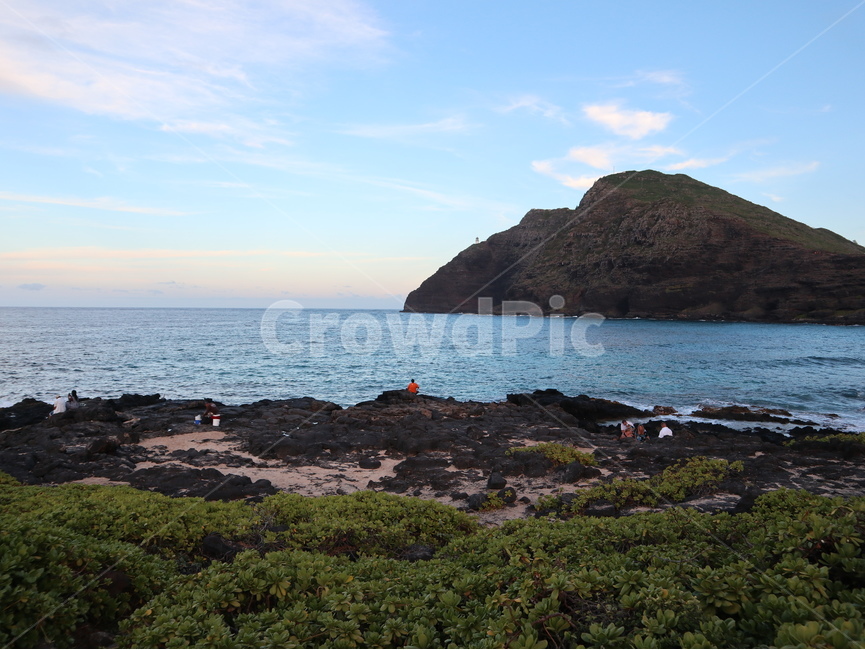 sea,ocean,대양,하와이,자연,nature,노을,sunset,야자나무,palmtree,scenery,풍경,promontory,곶,해안선,바다