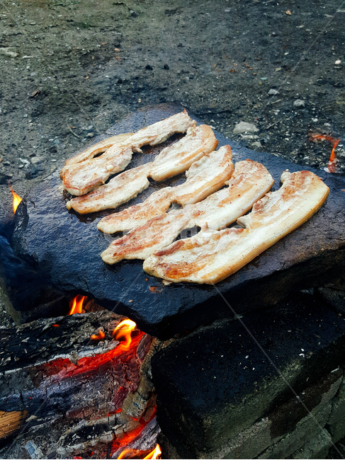 heat,camping,black,ashes,pork,flames,food,stone,meal,burning,orange,barbecue,pork belly,stone grilled pork belly,firewood,roasting,meat,fire,charcoal,wood,cooking,bonfire,stone grilled