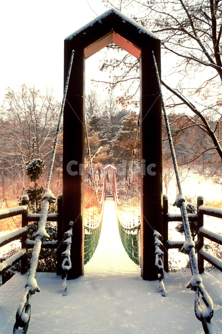 필름,필름사진,필름느낌,필름감성,겨울왕국,설경,풍경,배경,겨울,산행,산책,모험,탐험,새벽,눈보라,혹한,추위,난간,다리,banister,handrail