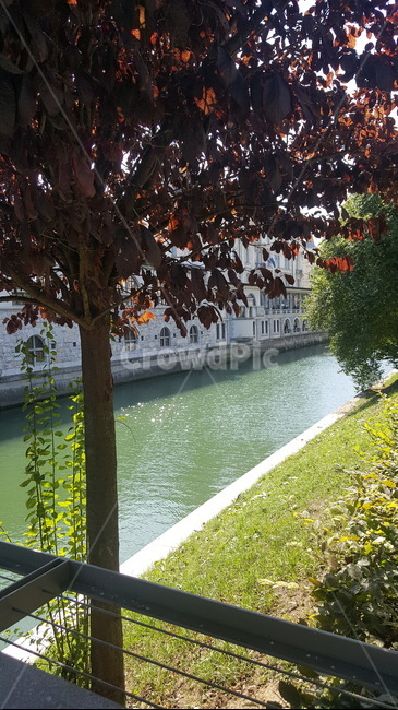 강,river,water,물,outdoors,옥외,나무,trees,가을,autumn,fall,자연,풍경,nature,landscape