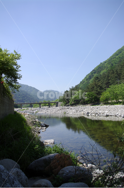 강,나무,풍경,산,돌,자연,풍경,nature,landscape,outdoors,옥외,water,물