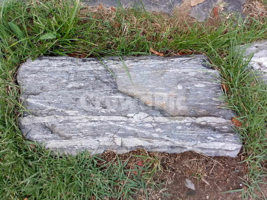 ground,바닥,돌,잡초,식물,길바닥,풀,자연,식물,자연,plants,nature