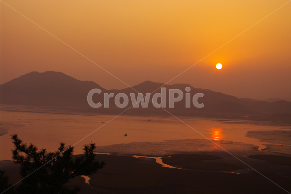 순천만,일몰,석양,노을,풍경,갈대밭,자연,풍경,nature,landscape,한국자연풍경,한국자연경관,korea nature landscape,dusk,황혼,sky,하늘,sunset,dawn,새벽,red sky,붉은 하늘,outdoors,옥외,sunlight,햇빛