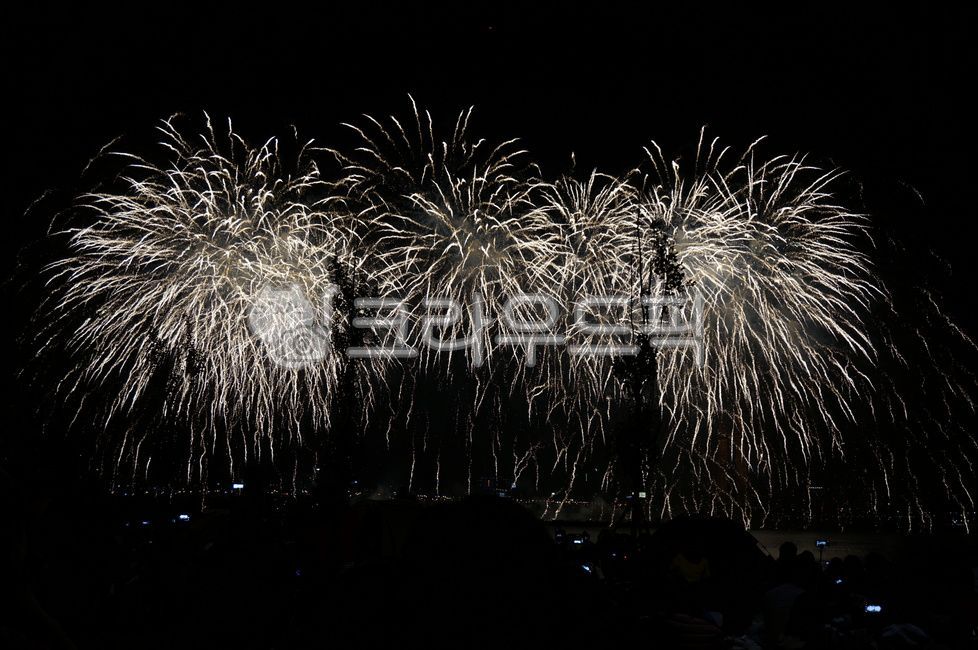 불꽃,불꽃축제,여의도,축제,밤하늘,파티,폭죽,firework,nature,자연,outdoors,옥외