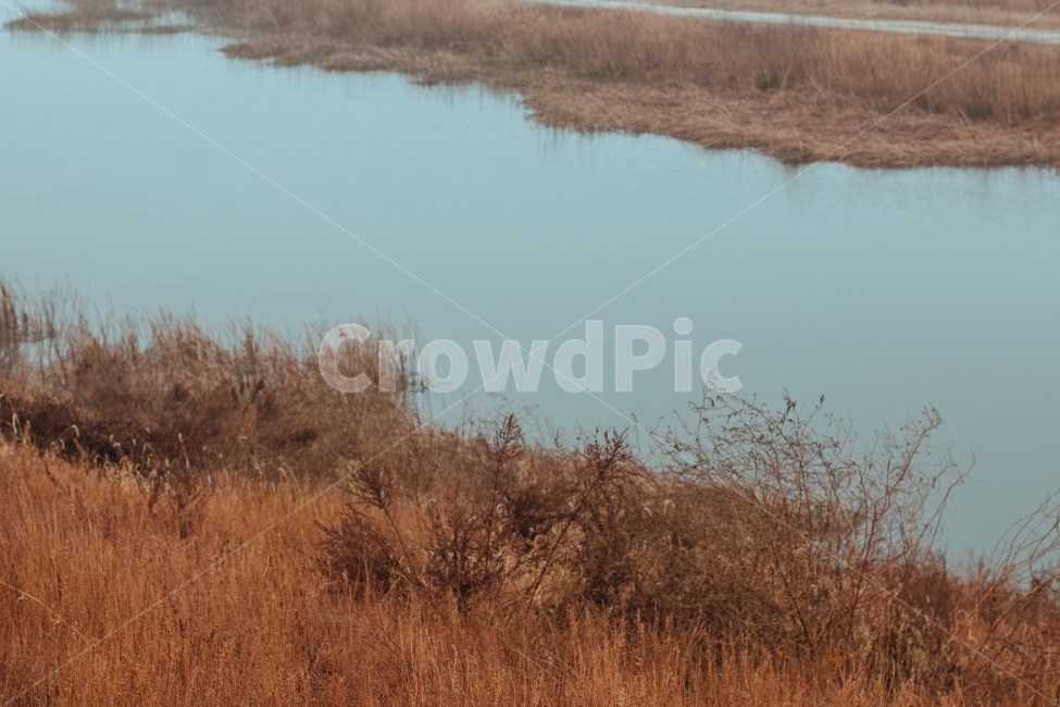 경기도,양평,가을,강가,아침,새벽,잔디,가을,계절,fall,autumn,season,자연,풍경,nature,landscape,outdoors,옥외,land,땅,water,물