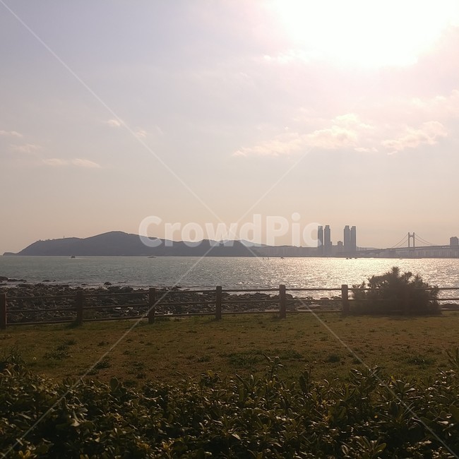 바다,공원,하늘,바다풍경,산책